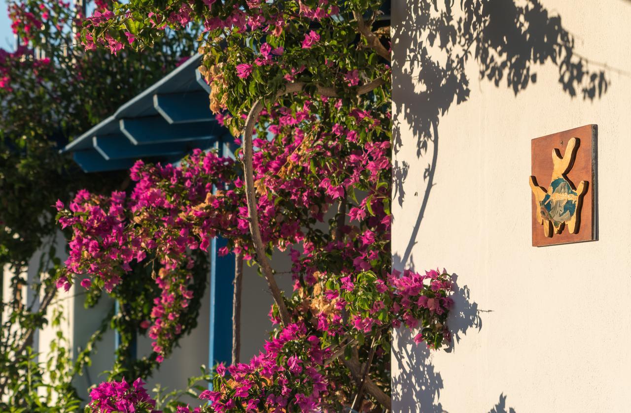 Firoa Studios Donousa Exterior foto