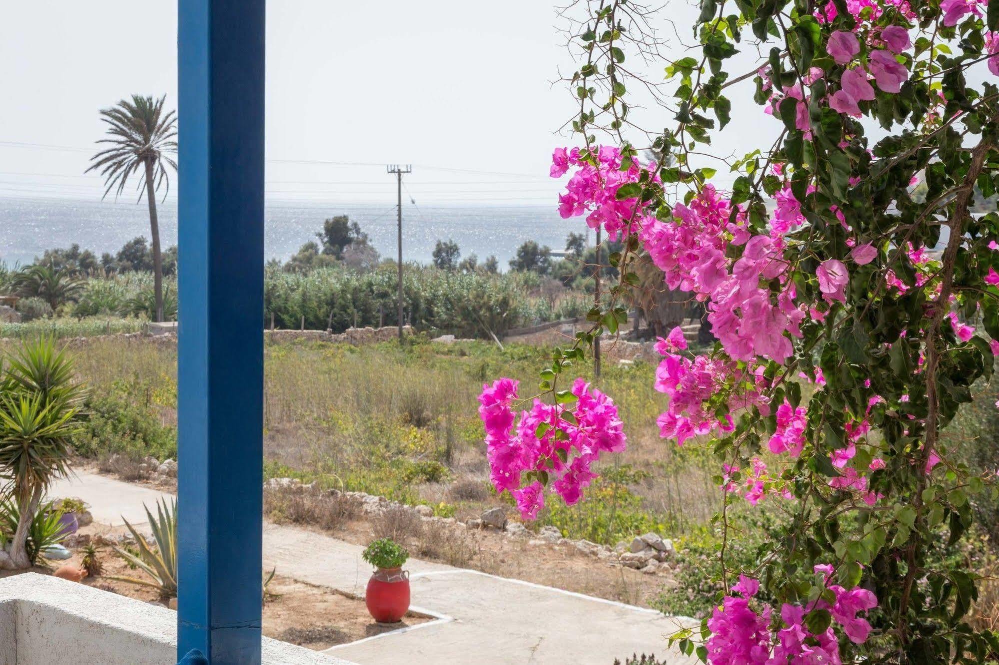 Firoa Studios Donousa Exterior foto